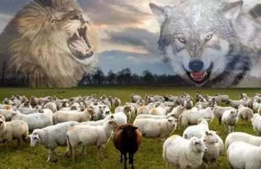 羊狼狮子